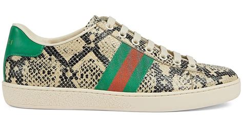 gucci sneakers python